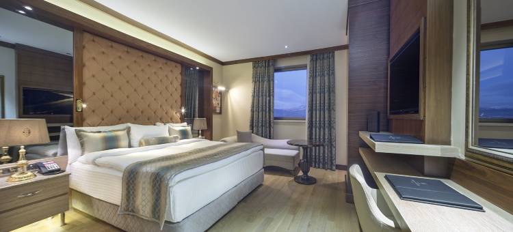 科尼亚千禧大酒店(Grand Millennium Konya)图片