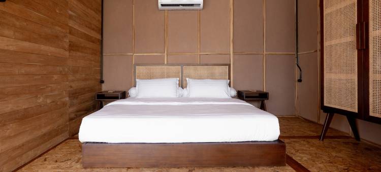 Terra Clementia图片