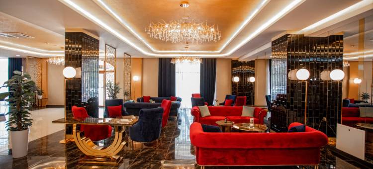 新高君悦酒店(King Plaza)图片