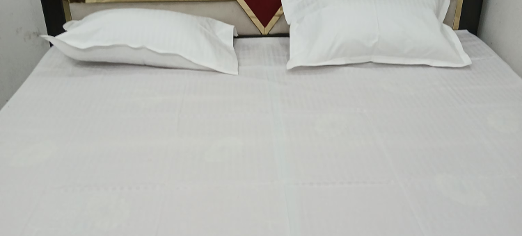 阿瓦德比哈里旅馆(Awadh Biharee Inn)图片