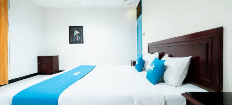 Sartika 酒店(Sartika Hotel)图片