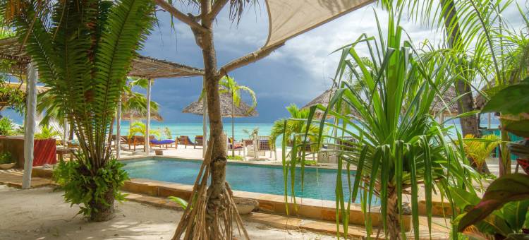 巴哈提别墅 桑给巴尔(Villa Bahati Zanzibar)图片