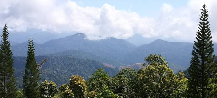 The Hill at Fraser Hill (Suite 33)图片