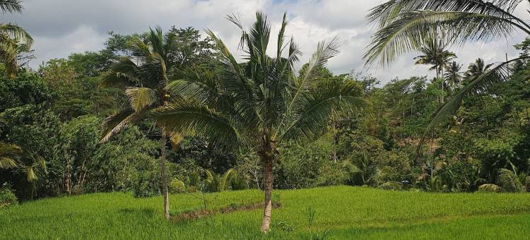 斯托克尔小屋(Stokel Cottage)图片