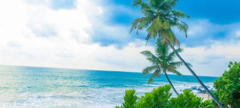 在凯莉的安巴朗戈达(At Kelly's Ambalangoda)图片