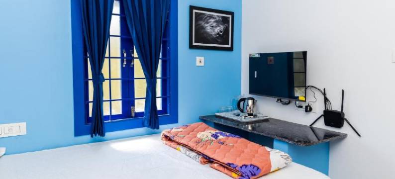 Panism Lifestyle图片