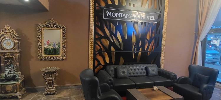 蒙大拿城市酒店(The Montana City Hotel)图片