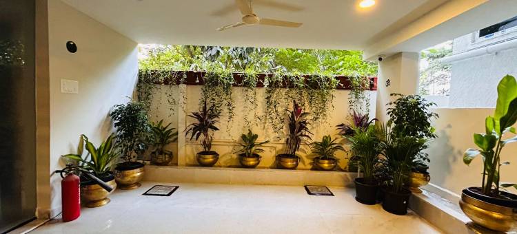 Treebo SY Inn, Hi-Tech City图片