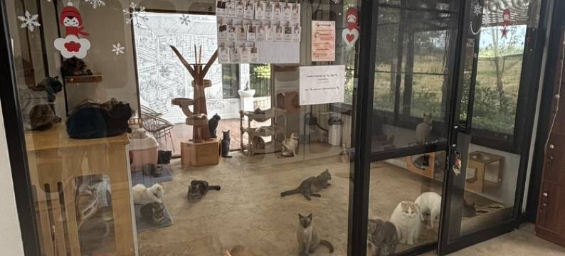 Amaze at The Myth图片