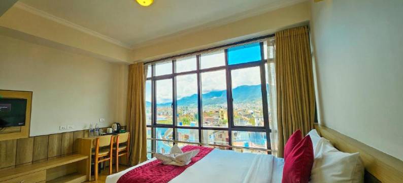 德里夏酒店(Drishya Hotel)图片