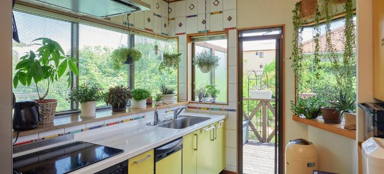 Malama Monstera In a botanical space, pls have a relaxing time.图片