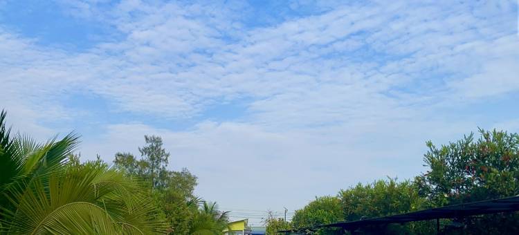 克隆咖啡度假村(Klong Cafe & Resort)图片