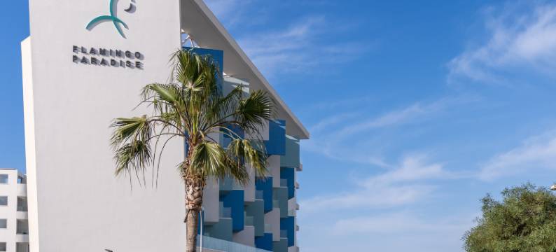 火烈鸟天堂海滩酒店(限成人)(Flamingo Paradise Beach Hotel)图片