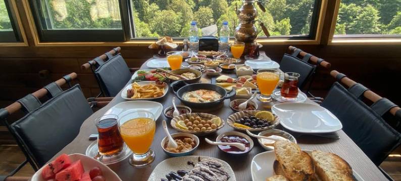 卡莱穹顶奥曼别墅(Kaledome Orman Evleri)图片