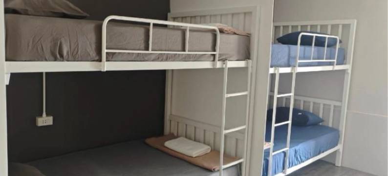 迪斯科动物园酒吧和旅馆(Discozoo BAR and HOSTEL)图片