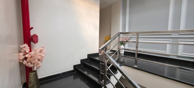 Shree Dham宫殿(Shree Dham Palace)图片