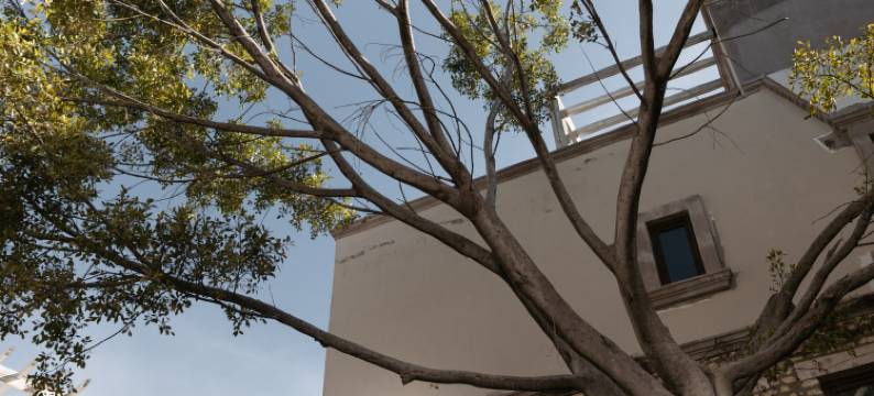 特罗布精品系列 圣米格尔(Trobbu Boutique Collection San Miguel)图片