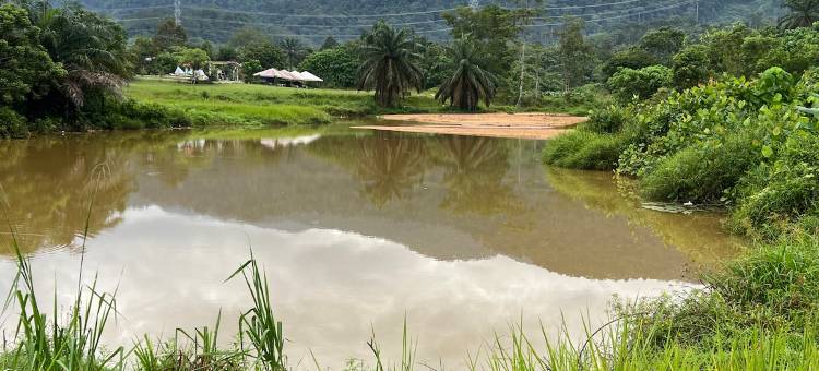 Sunny Lake House - Entire bungalow for 16 persons图片
