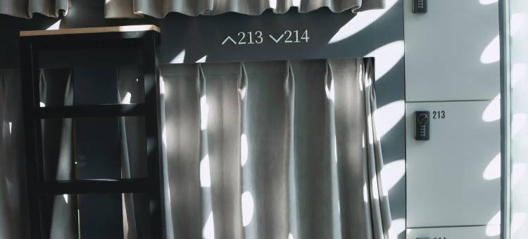 明洞L·YOUNG胶囊酒店(L·YOUNG Capsule Hotel-Myeongdong)图片