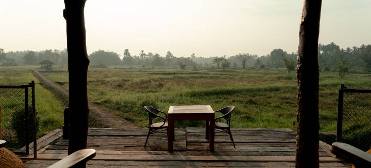 基林稻香岛(Kirindi Paddy Isle)图片