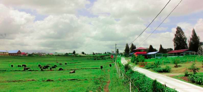 penginapan the guardians silangit图片