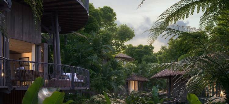 Twinpalms Treehouses Phuket图片