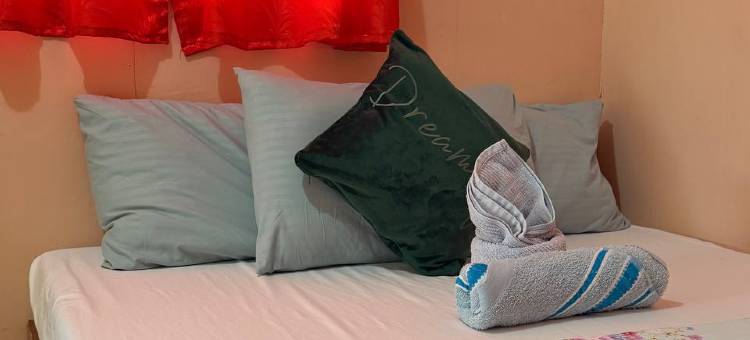 Camotes Seaside Tourist Inn - Camao Resort图片