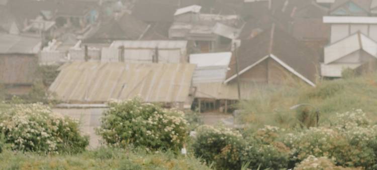 Desa Kepompong by Sinergi图片