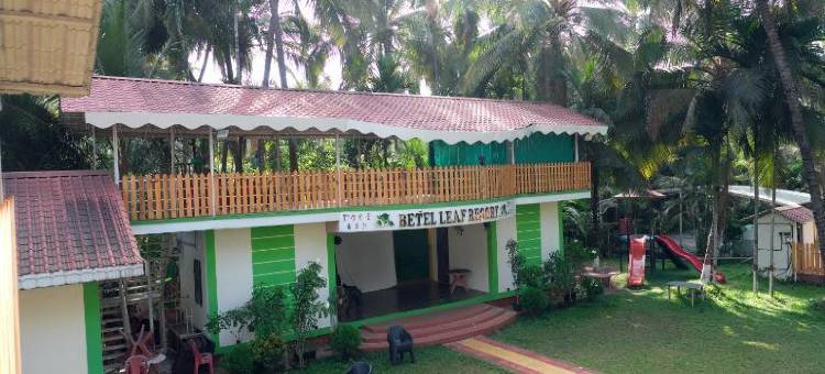 Betel Leaf Resort图片