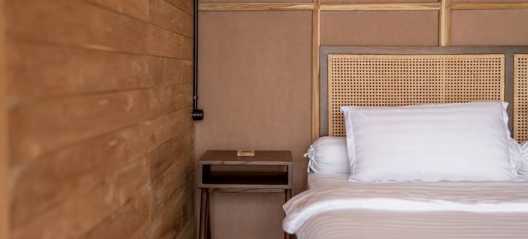 Terra Clementia图片