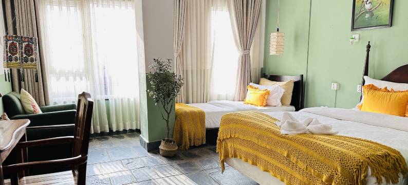 达尔文酒店(Hotel Darwin)图片