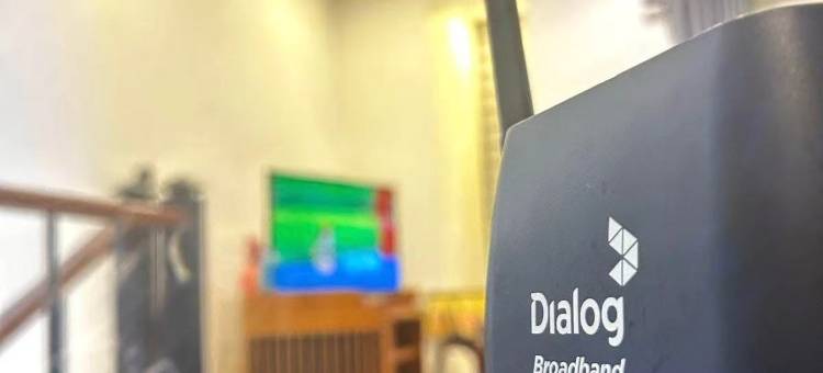 连晨皓民宿(Gautam Homestay)图片