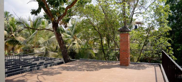 波希米亚巢穴(Bohemian Nest)图片