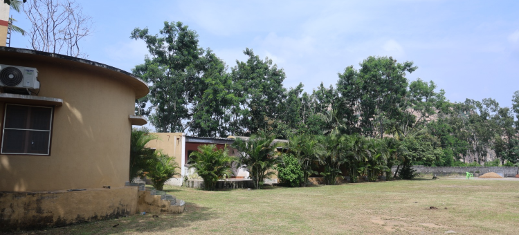 汉皮蓝月度假村(Hampi Blue Moon Resort)图片