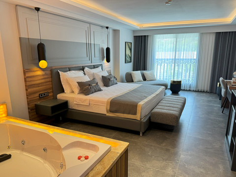 特尔梅索斯城市酒店限成人