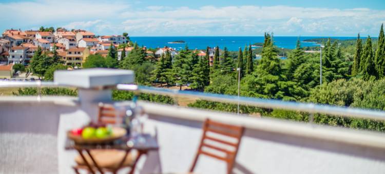 维萨别墅酒店(HOTEL VILLA VRSAR)图片