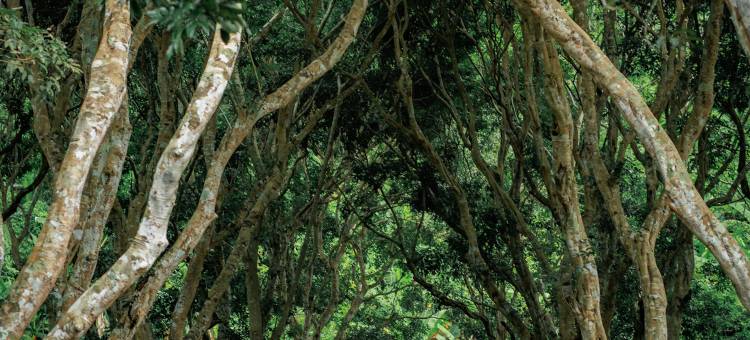 河岩之家(RiverRock Home)图片