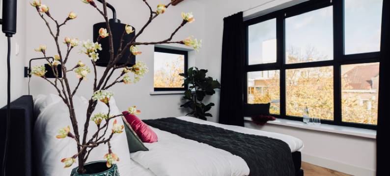 43号精品酒店(Boutique Hotel 43 Amsterdam - Zaandam)图片