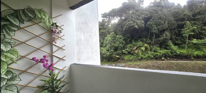 The Highland Hive图片