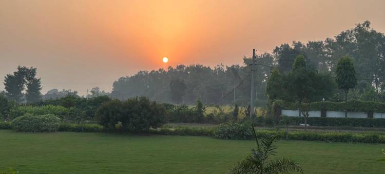 阿罗格亚自然疗法村(Aarogya Naturopathy Village)图片