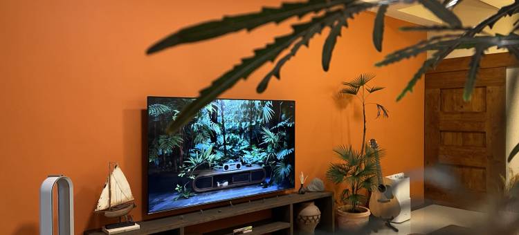 地平线潜水民宿图片