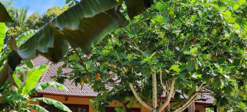 富国岛日出度假村(SUNRISE RESORT PHU QUOC)图片