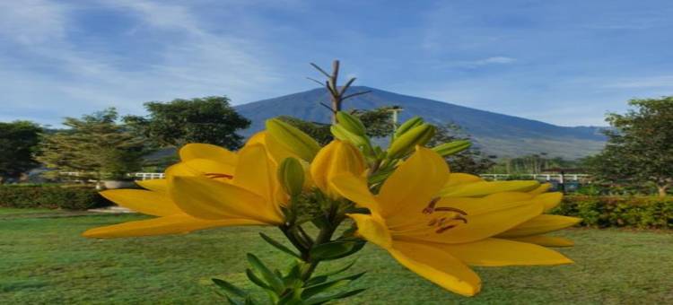 塞姆博伦努桑塔拉酒店(Nusantara Hotel Sembalun)图片