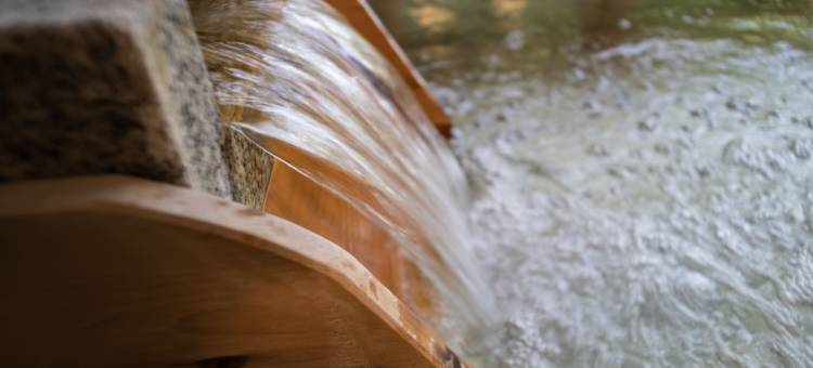 伊豆高原天然温泉旅馆 艺家(arts-inn)图片