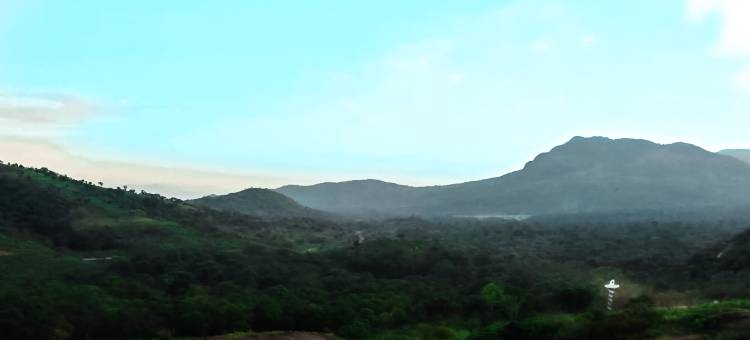 切贝拉大象爪旅馆(Chebera Elephant Paw Lodge)图片