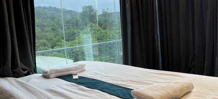 尼亚斯特山谷度假村(Nyast Valley Resort by Autumleafs, Goa)图片
