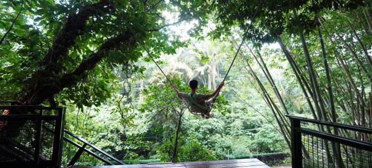 The Ravine by One Selah图片