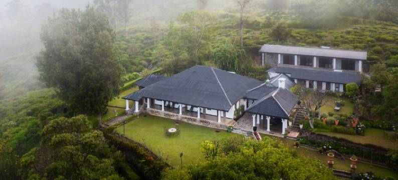 Garfield Bungalow by TONIK图片