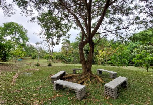 Raiyaa Farmstay Hotel Overview