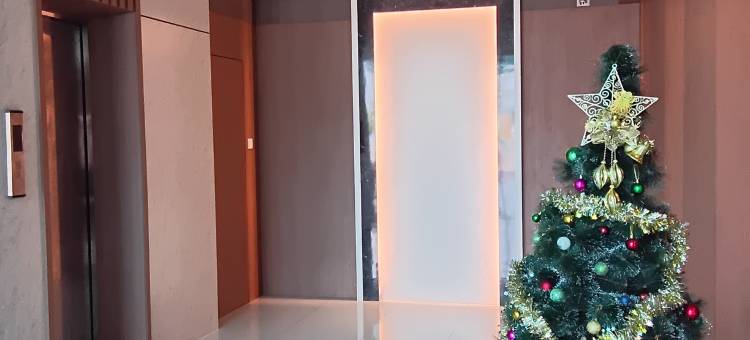 德梅里昂酒店巴淡岛(DMerlion Hotel Batam)图片